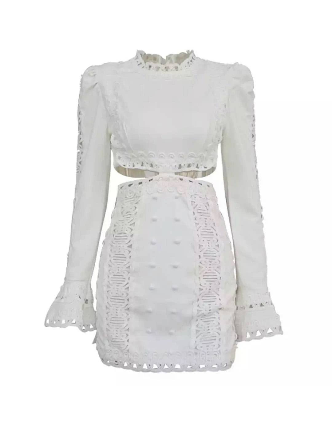 Lace Cut Out Mini Embroidered Dress