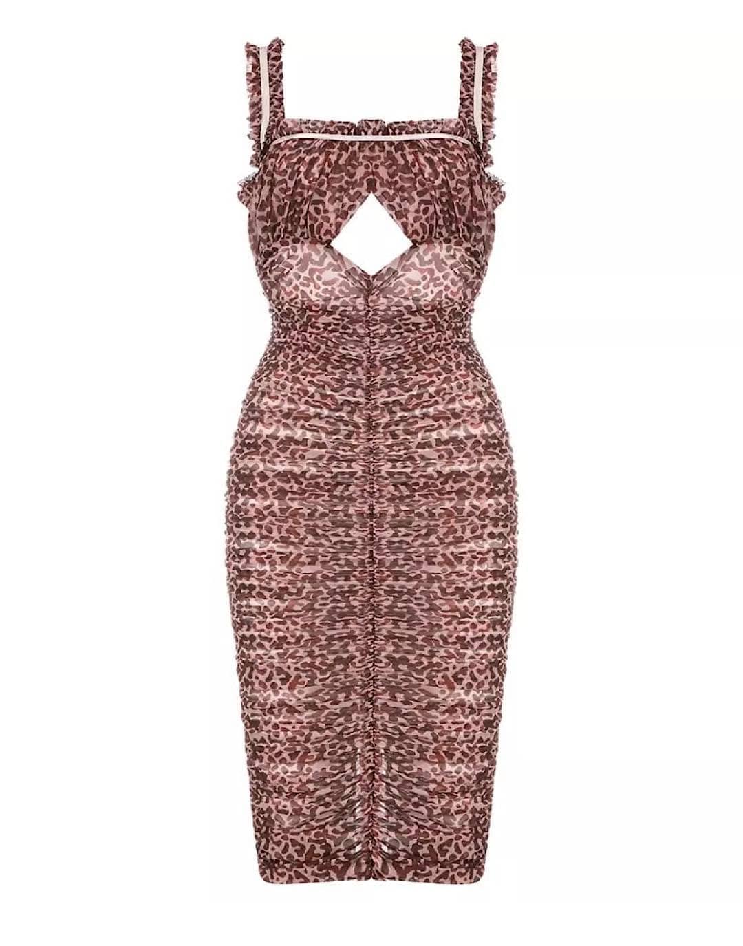 Ruched Bodycon Mesh Dress